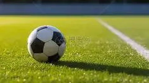 文班豪34分率马刺逆转国王，独行侠战胜开拓者